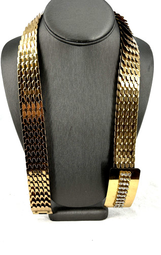 Gold belt fish scale - fish,